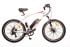 Электровелосипед VOLT AGE FAST-S 250W 36V/13Ah